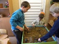 �����������